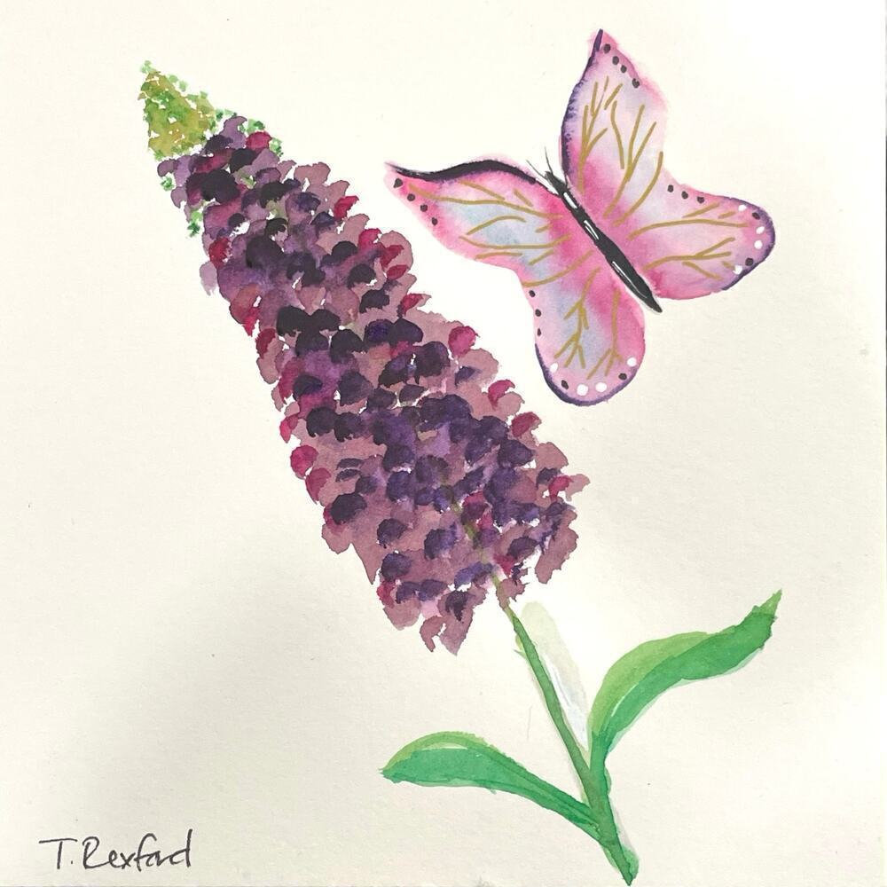 Hand painted watercolor original painting flower butterfly